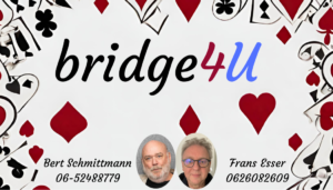 Welkom bij Bridge4U!